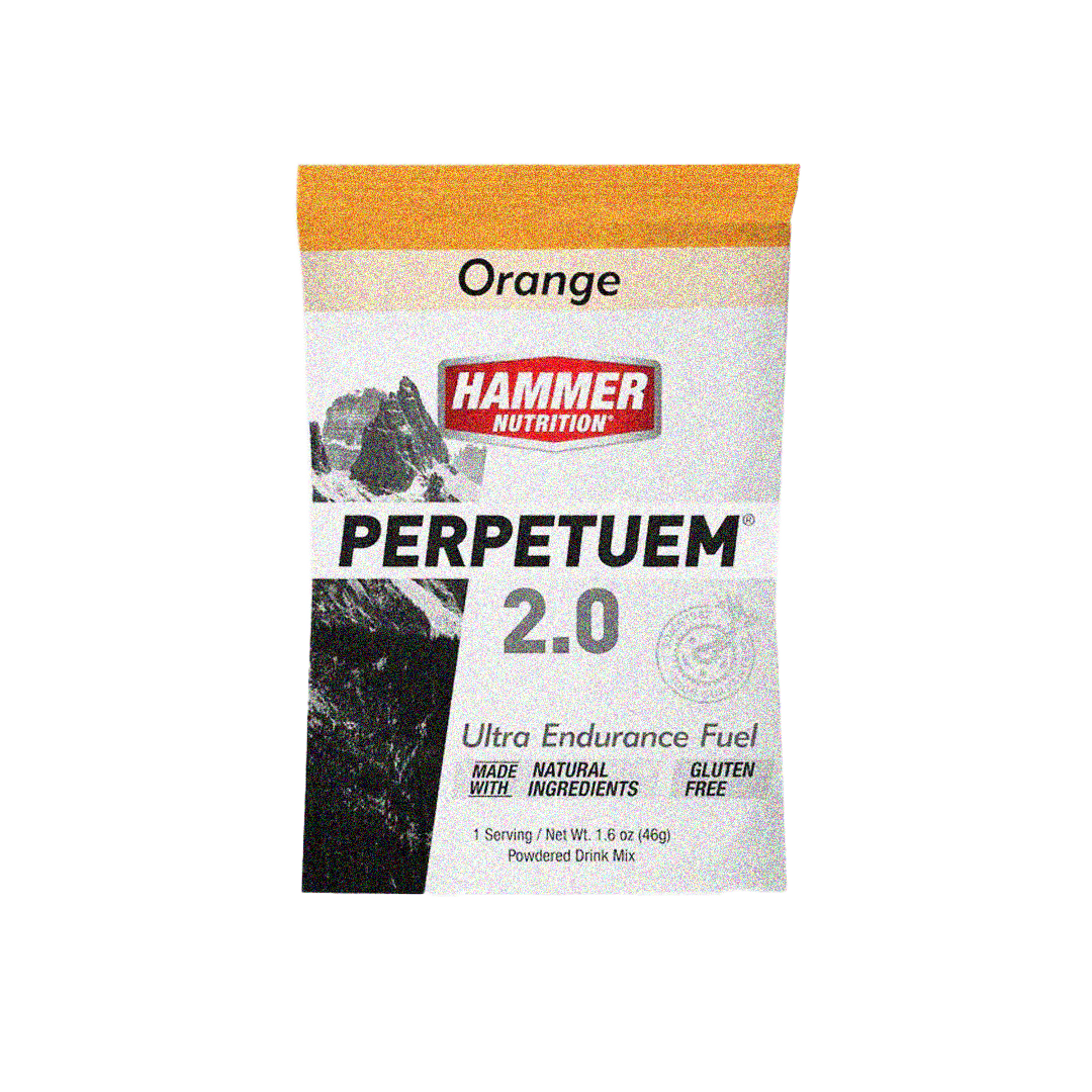 Hammer Perpetuem