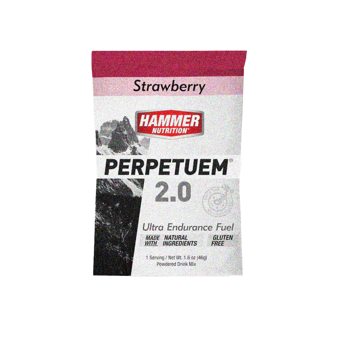 Hammer Perpetuem