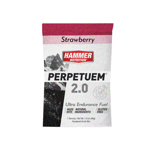 Hammer Perpetuem